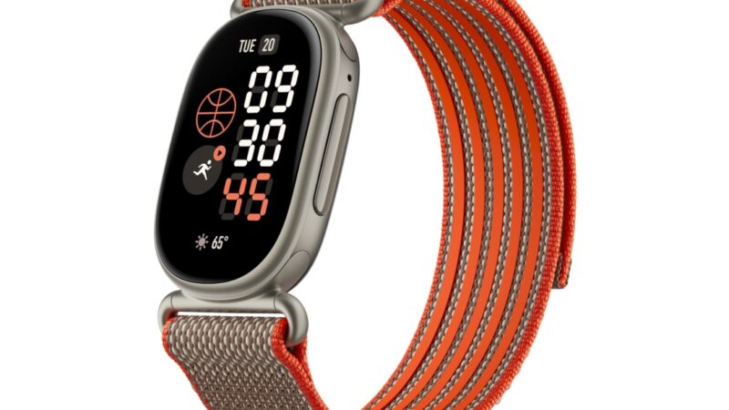 Google Fitbit Edge