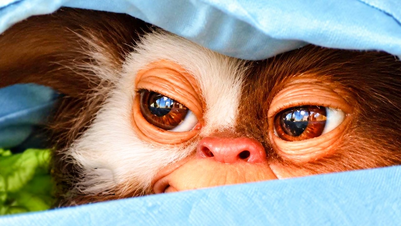 Gremlins 3