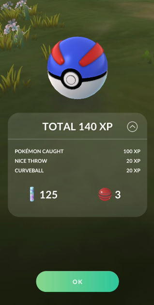 test catch screen