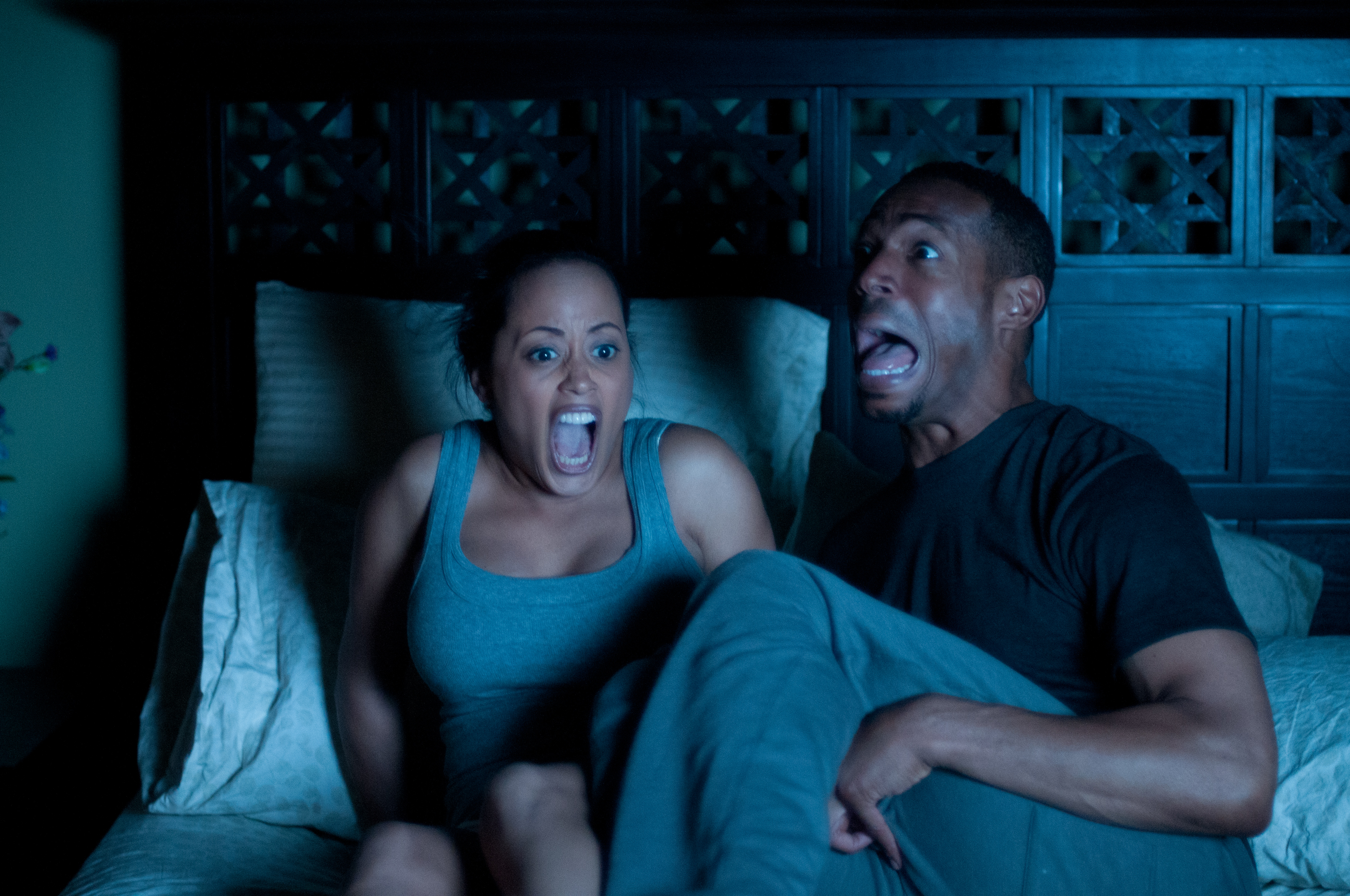 Winnen: A Haunted House op DVD of Bluray