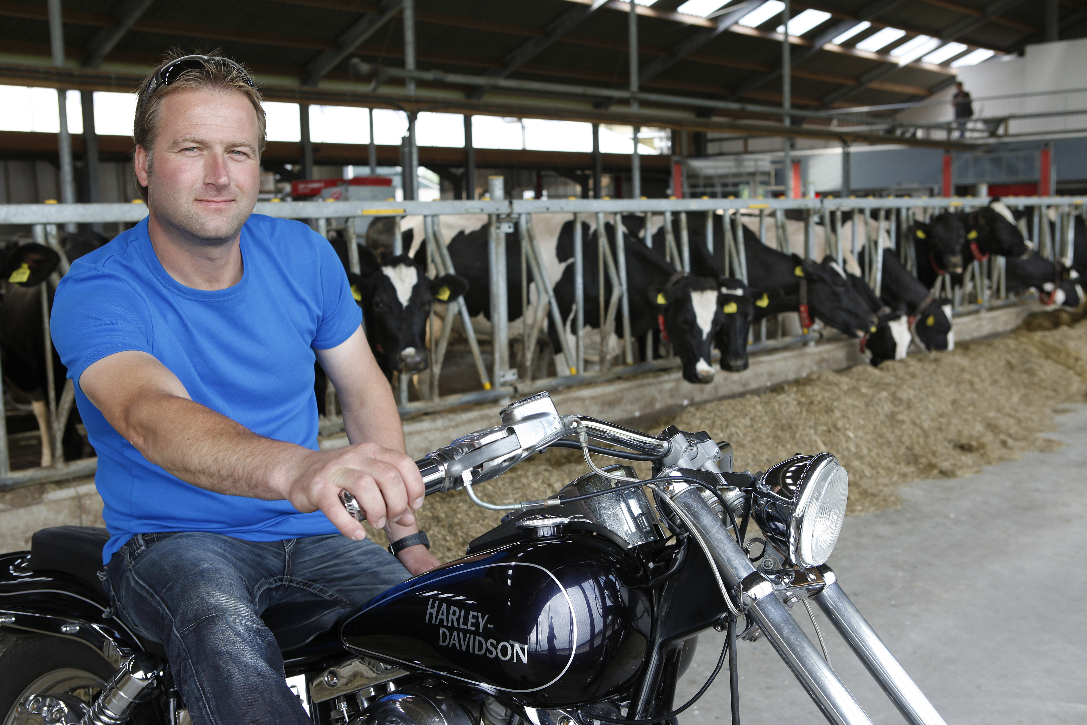 SBS6 komt met nieuw programma ‘Speld in de Hooiberg’