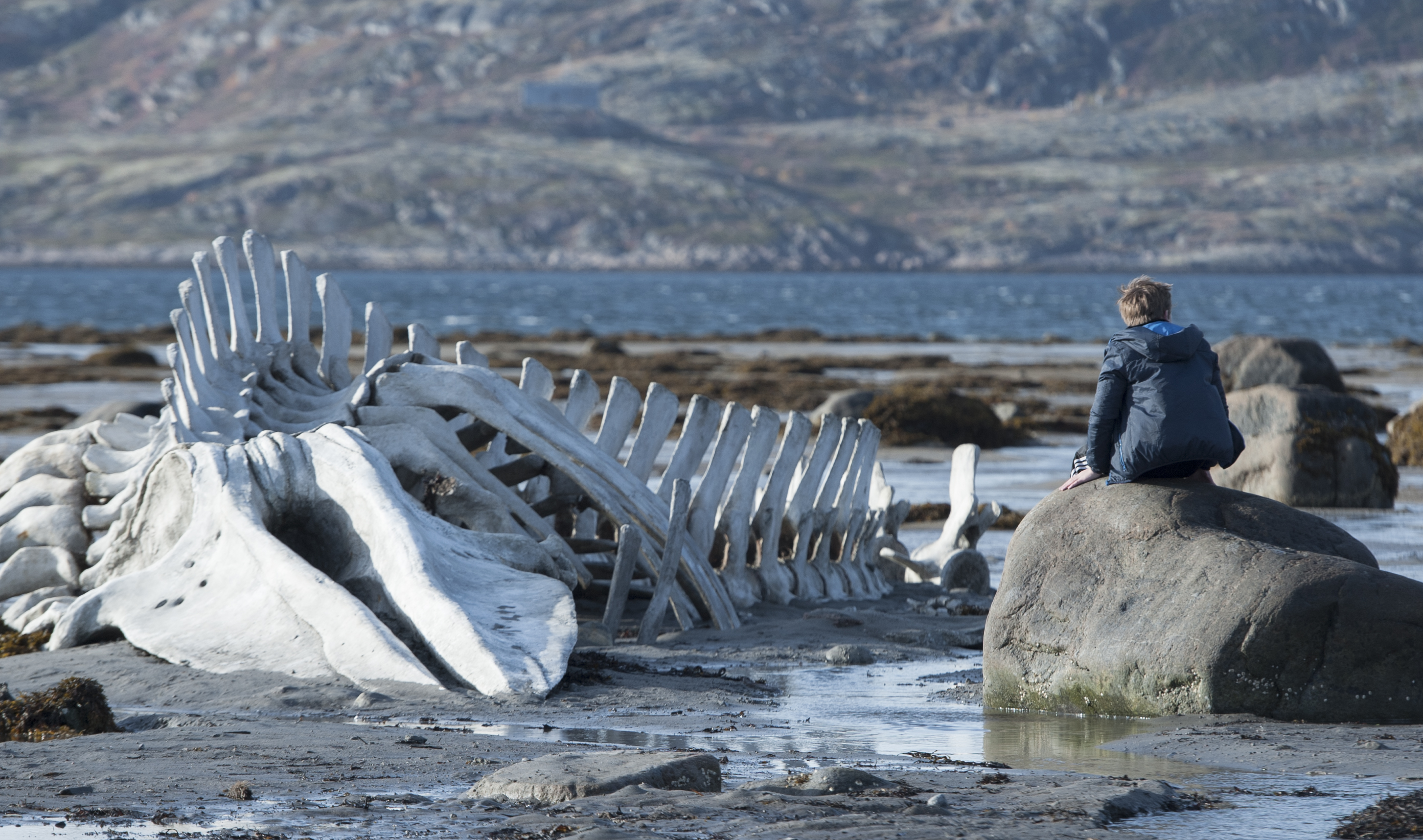 Recensie: Leviathan