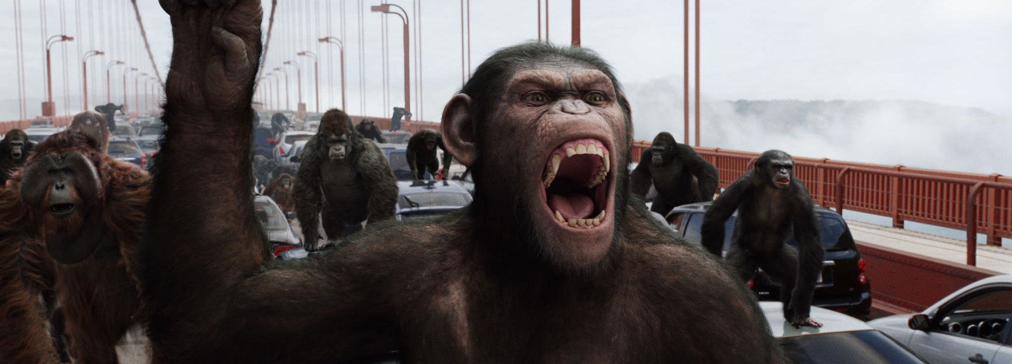 Recensie: Rise of the Planet of the Apes
